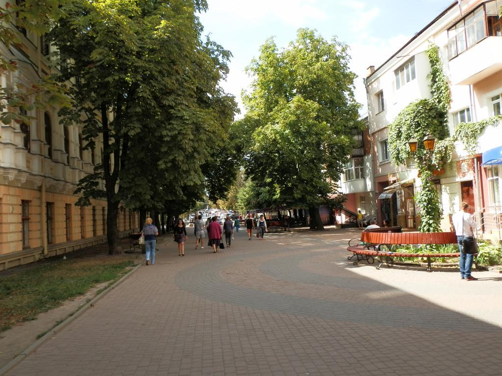Apartment Artynova 29 Vínnytsia Habitación foto